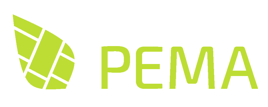 logo pema